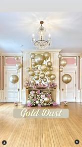 Silk Gold Dust Balloons